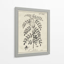 Antiguo Blanco Y Negro Botánico Ix - Vision Studio | Cuadro decorativo de Canvas Lab