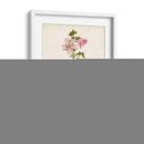 Hierba Antigua Botánica V | Cuadro decorativo de Canvas Lab