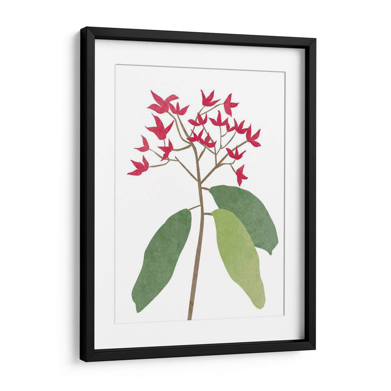 Begonia Stem I - Melissa Wang | Cuadro decorativo de Canvas Lab