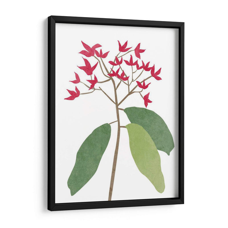 Begonia Stem I - Melissa Wang | Cuadro decorativo de Canvas Lab