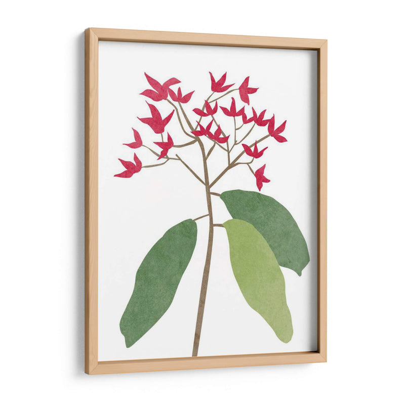 Begonia Stem I - Melissa Wang | Cuadro decorativo de Canvas Lab