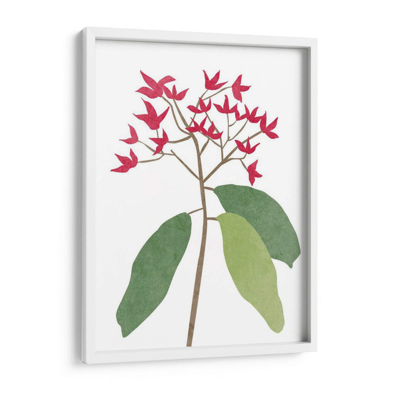 Begonia Stem I - Melissa Wang | Cuadro decorativo de Canvas Lab