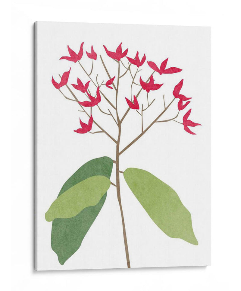 Begonia Stem Ii - Melissa Wang | Cuadro decorativo de Canvas Lab