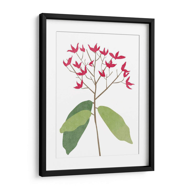 Begonia Stem Ii - Melissa Wang | Cuadro decorativo de Canvas Lab