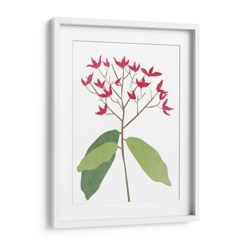 Begonia Stem Ii - Melissa Wang | Cuadro decorativo de Canvas Lab