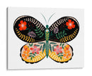 Pétalos De Mariposa I - Grace Popp | Cuadro decorativo de Canvas Lab