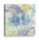 Tranquilo Smoke Ii - Alonzo Saunders | Cuadro decorativo de Canvas Lab