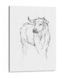 Estudio De Toro I - Ethan Harper | Cuadro decorativo de Canvas Lab