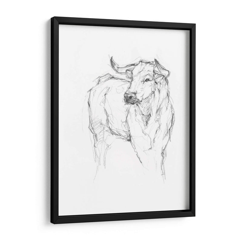 Estudio De Toro I - Ethan Harper | Cuadro decorativo de Canvas Lab