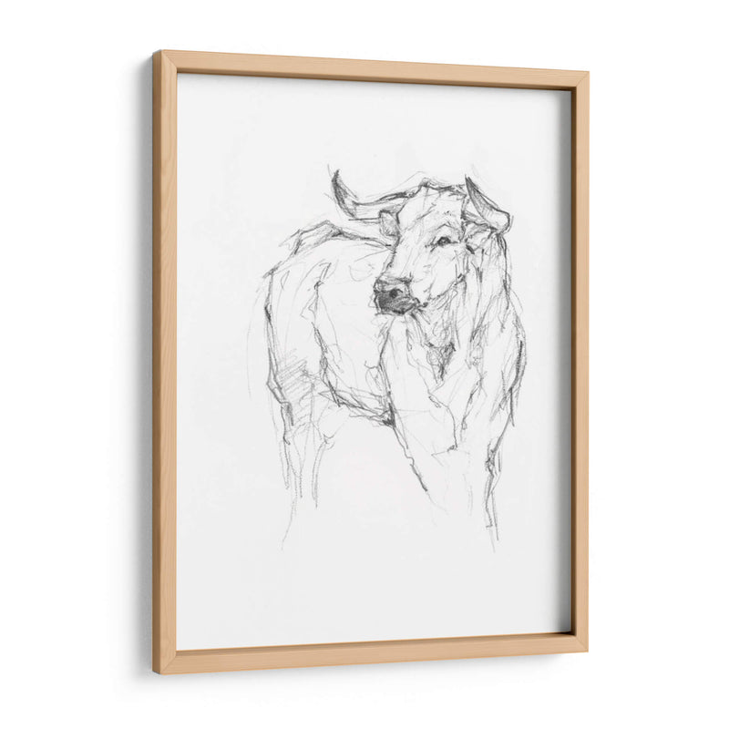 Estudio De Toro I - Ethan Harper | Cuadro decorativo de Canvas Lab