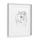 Estudio De Toro I - Ethan Harper | Cuadro decorativo de Canvas Lab