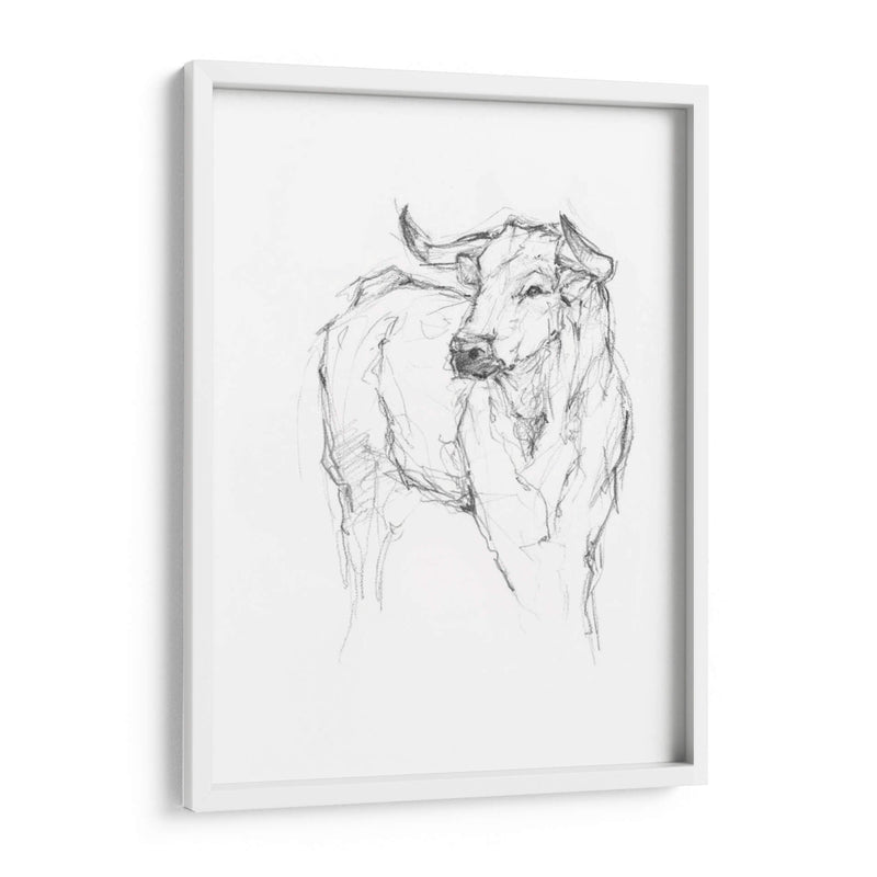 Estudio De Toro I - Ethan Harper | Cuadro decorativo de Canvas Lab