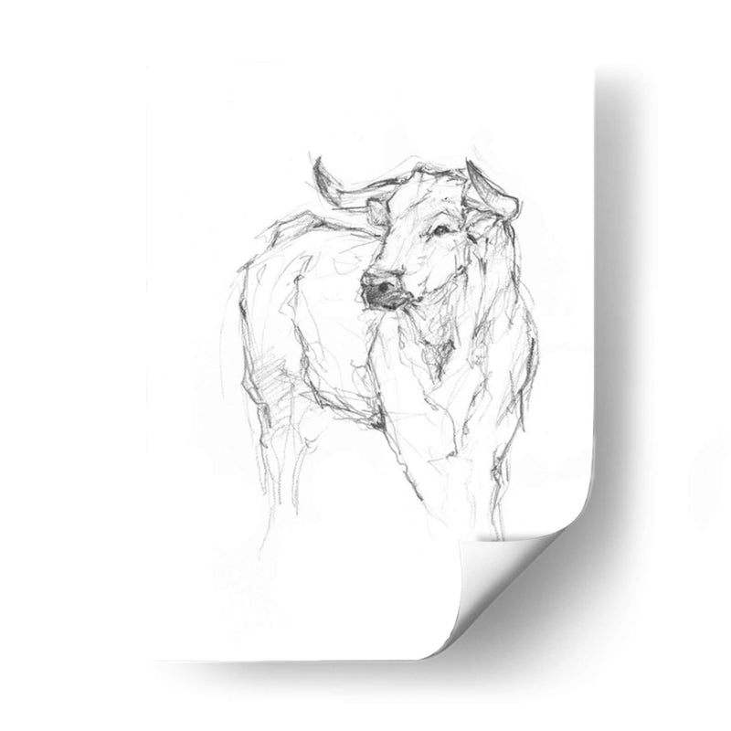 Estudio De Toro I - Ethan Harper | Cuadro decorativo de Canvas Lab