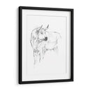 Estudio De Toros Ii - Ethan Harper | Cuadro decorativo de Canvas Lab