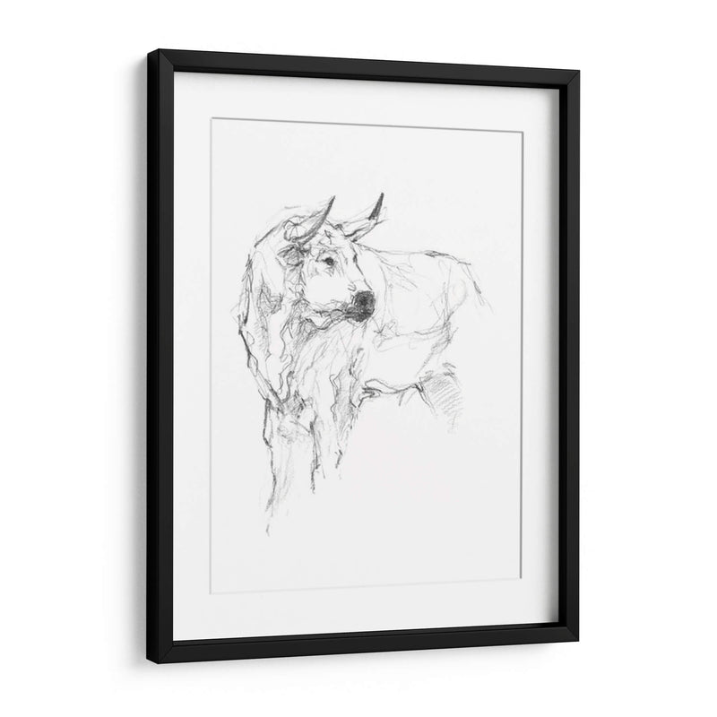 Estudio De Toros Ii - Ethan Harper | Cuadro decorativo de Canvas Lab