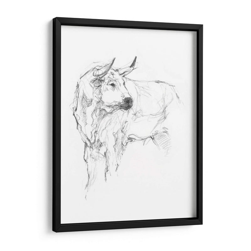 Estudio De Toros Ii - Ethan Harper | Cuadro decorativo de Canvas Lab