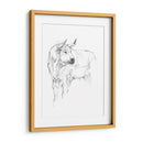 Estudio De Toros Ii - Ethan Harper | Cuadro decorativo de Canvas Lab