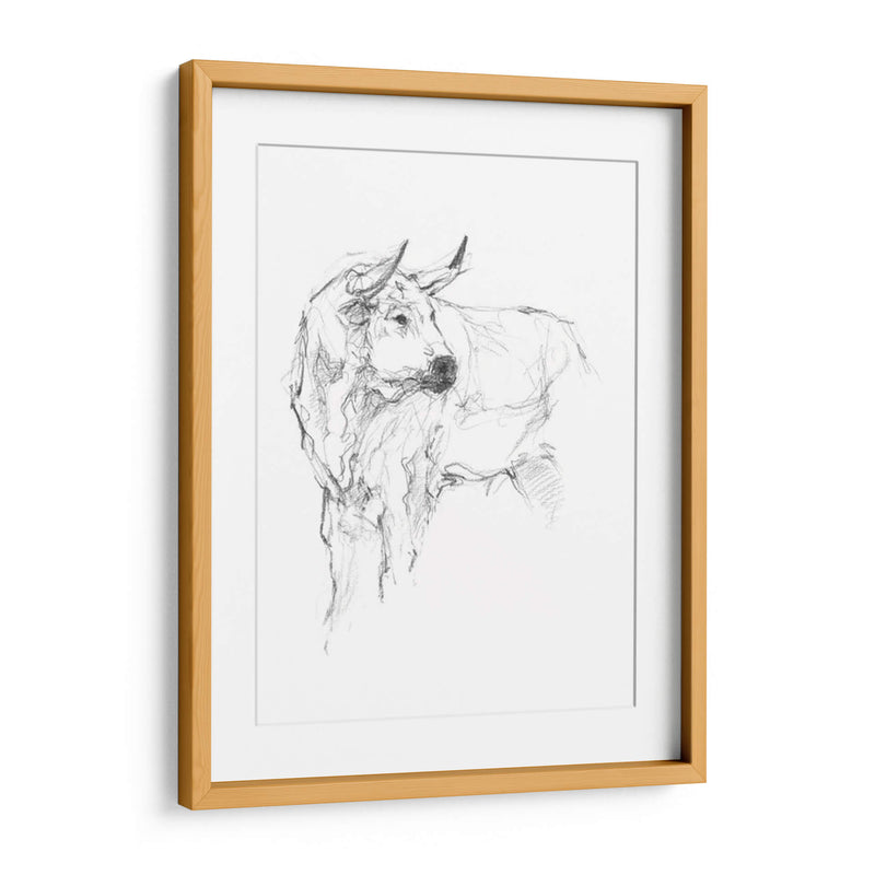 Estudio De Toros Ii - Ethan Harper | Cuadro decorativo de Canvas Lab