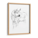 Estudio De Toros Ii - Ethan Harper | Cuadro decorativo de Canvas Lab