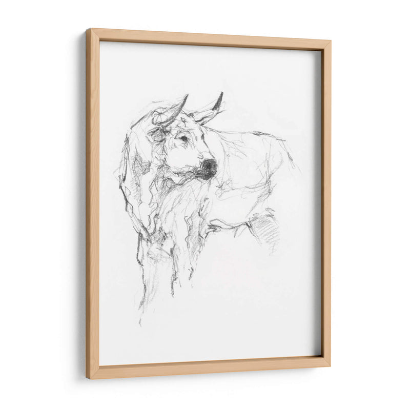 Estudio De Toros Ii - Ethan Harper | Cuadro decorativo de Canvas Lab