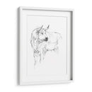 Estudio De Toros Ii - Ethan Harper | Cuadro decorativo de Canvas Lab