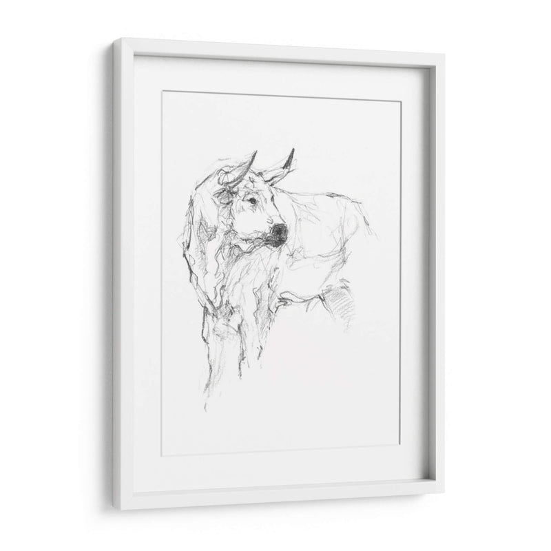 Estudio De Toros Ii - Ethan Harper | Cuadro decorativo de Canvas Lab