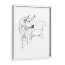 Estudio De Toros Ii - Ethan Harper | Cuadro decorativo de Canvas Lab