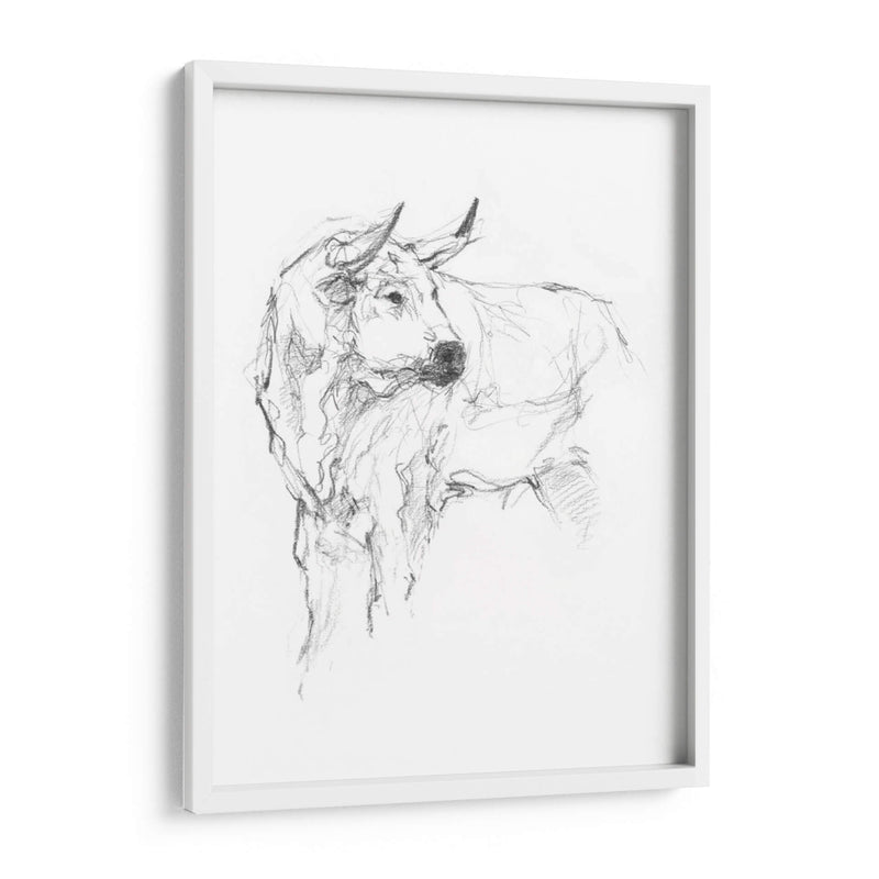 Estudio De Toros Ii - Ethan Harper | Cuadro decorativo de Canvas Lab