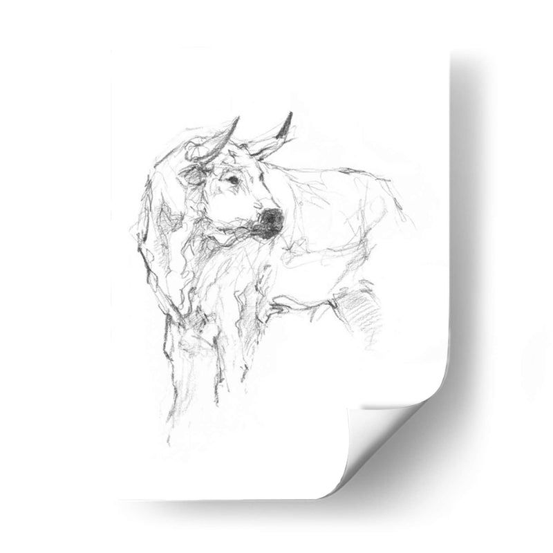 Estudio De Toros Ii - Ethan Harper | Cuadro decorativo de Canvas Lab