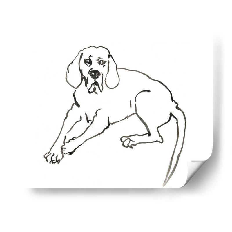 Wag: El Perro Iii - Edward A.S. Douglas | Cuadro decorativo de Canvas Lab