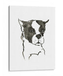 Wag: El Perro V - Edward A.S. Douglas | Cuadro decorativo de Canvas Lab