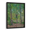 Árboles - Vincent Van Gogh | Cuadro decorativo de Canvas Lab