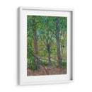 Árboles - Vincent Van Gogh | Cuadro decorativo de Canvas Lab