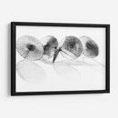 Parisoles Ii - Bruce Dean | Cuadro decorativo de Canvas Lab