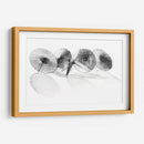 Parisoles Ii - Bruce Dean | Cuadro decorativo de Canvas Lab