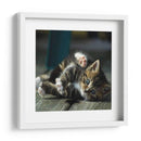 Gato Yoga V - Kim Curinga | Cuadro decorativo de Canvas Lab