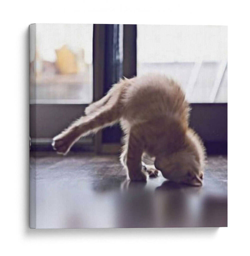 Gato Yoga X - Kim Curinga | Cuadro decorativo de Canvas Lab