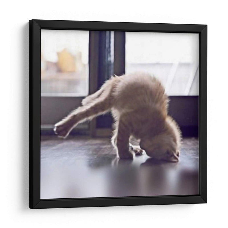 Gato Yoga X - Kim Curinga | Cuadro decorativo de Canvas Lab