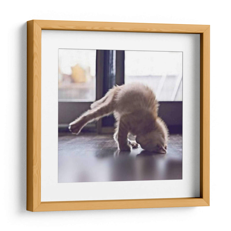 Gato Yoga X - Kim Curinga | Cuadro decorativo de Canvas Lab