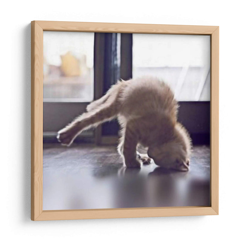 Gato Yoga X - Kim Curinga | Cuadro decorativo de Canvas Lab