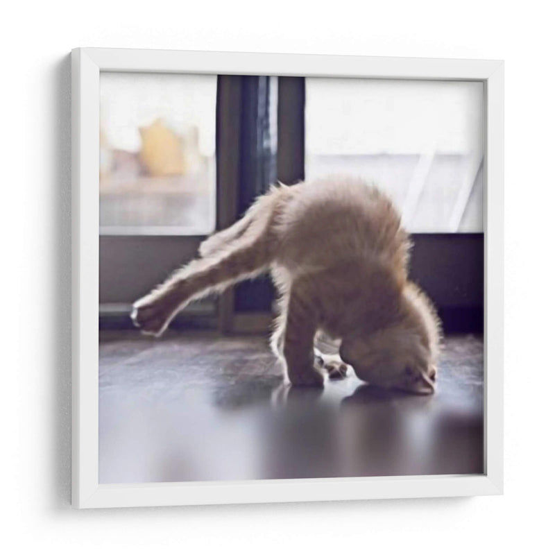 Gato Yoga X - Kim Curinga | Cuadro decorativo de Canvas Lab