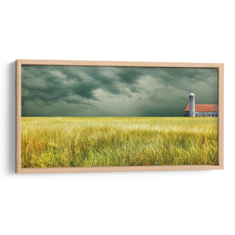 Campo Amarillo - James McLoughlin | Cuadro decorativo de Canvas Lab