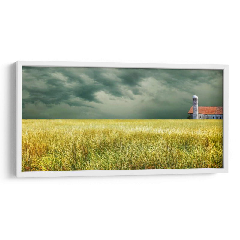 Campo Amarillo - James McLoughlin | Cuadro decorativo de Canvas Lab