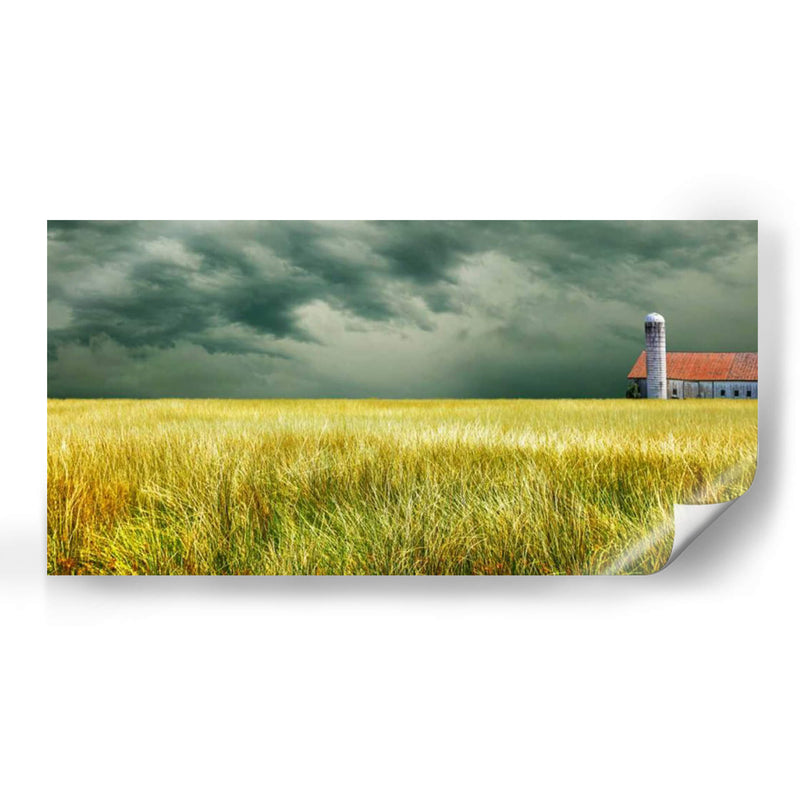 Campo Amarillo - James McLoughlin | Cuadro decorativo de Canvas Lab