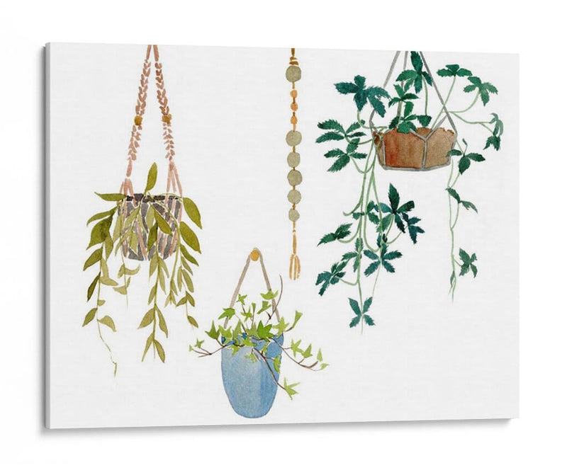 Colgar Greens I - Melissa Wang | Cuadro decorativo de Canvas Lab