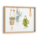 Greens Colgantes Ii - Melissa Wang | Cuadro decorativo de Canvas Lab