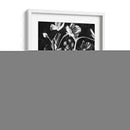 Floración Encantada I - Jacob Green | Cuadro decorativo de Canvas Lab