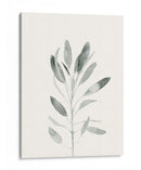 Sabio Delicado Botánico Ii - Gerard Paul Deshayes | Cuadro decorativo de Canvas Lab