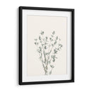 Delicate Sage Botanical Iii - Gerard Paul Deshayes | Cuadro decorativo de Canvas Lab