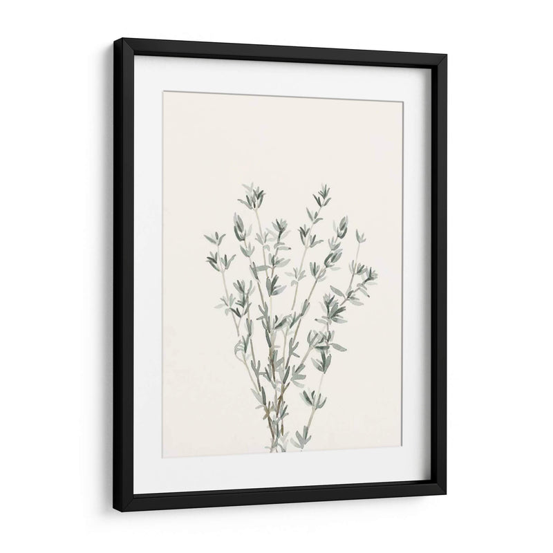 Delicate Sage Botanical Iii - Gerard Paul Deshayes | Cuadro decorativo de Canvas Lab